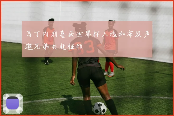 马丁内利喜获世界杯入选加布发声邀兄弟共赴征程